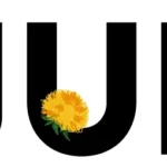 JUL-logo