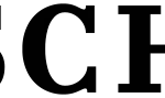 KseniaSchnaider-Logo